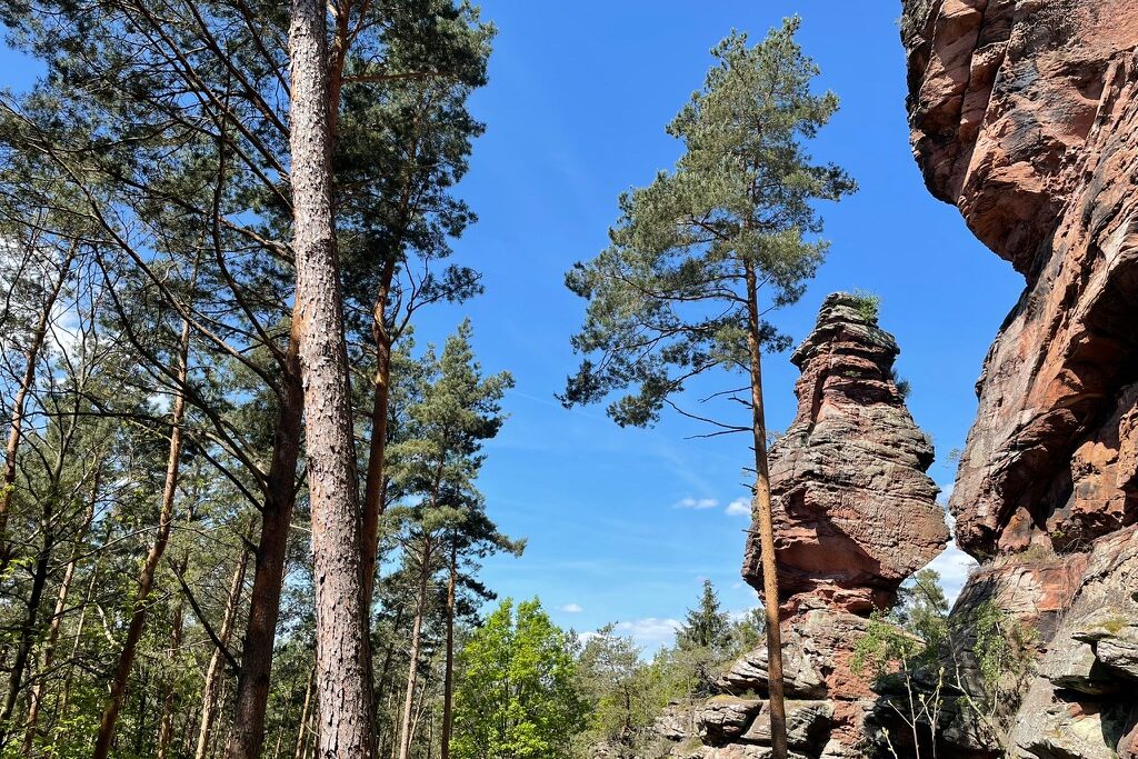 Deutschland – Pfalz – Risse und mehr 4 Tage