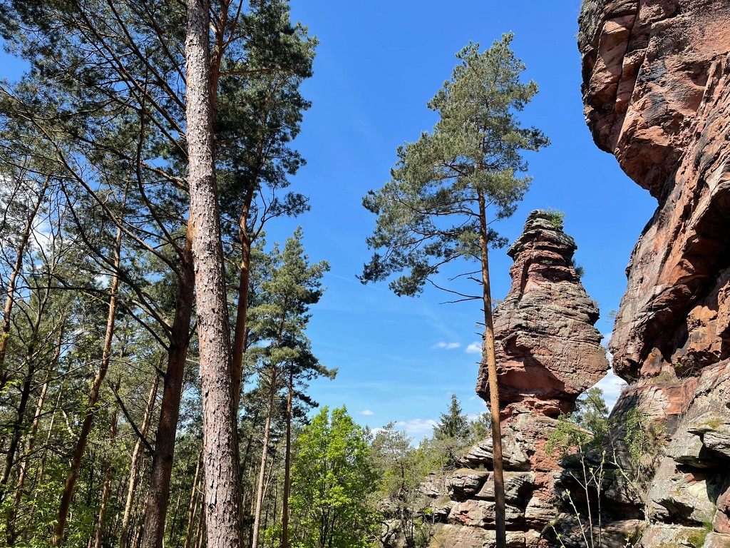 Rissklettern und mehr in der Pfalz